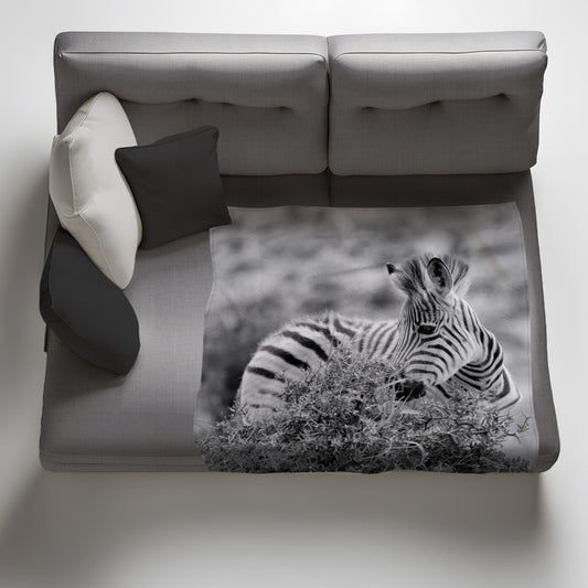Baby Zebra Grazing Light Weight Fleece Blanket by Annette Heymans