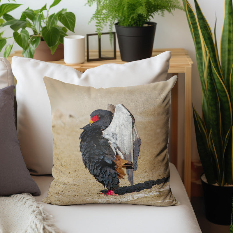 Bateleur Calling Luxury Scatter By Annette Heymans