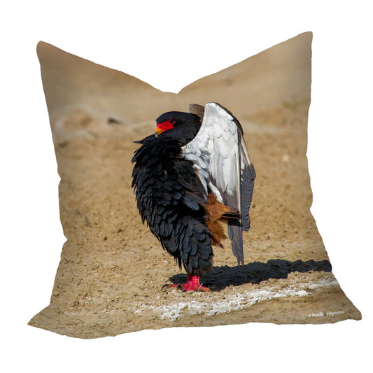 Bateleur Calling Luxury Scatter By Annette Heymans