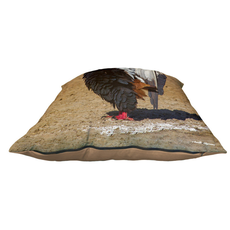 Bateleur Calling Luxury Scatter By Annette Heymans