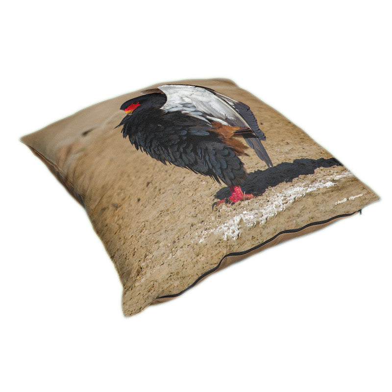 Bateleur Calling Luxury Scatter By Annette Heymans