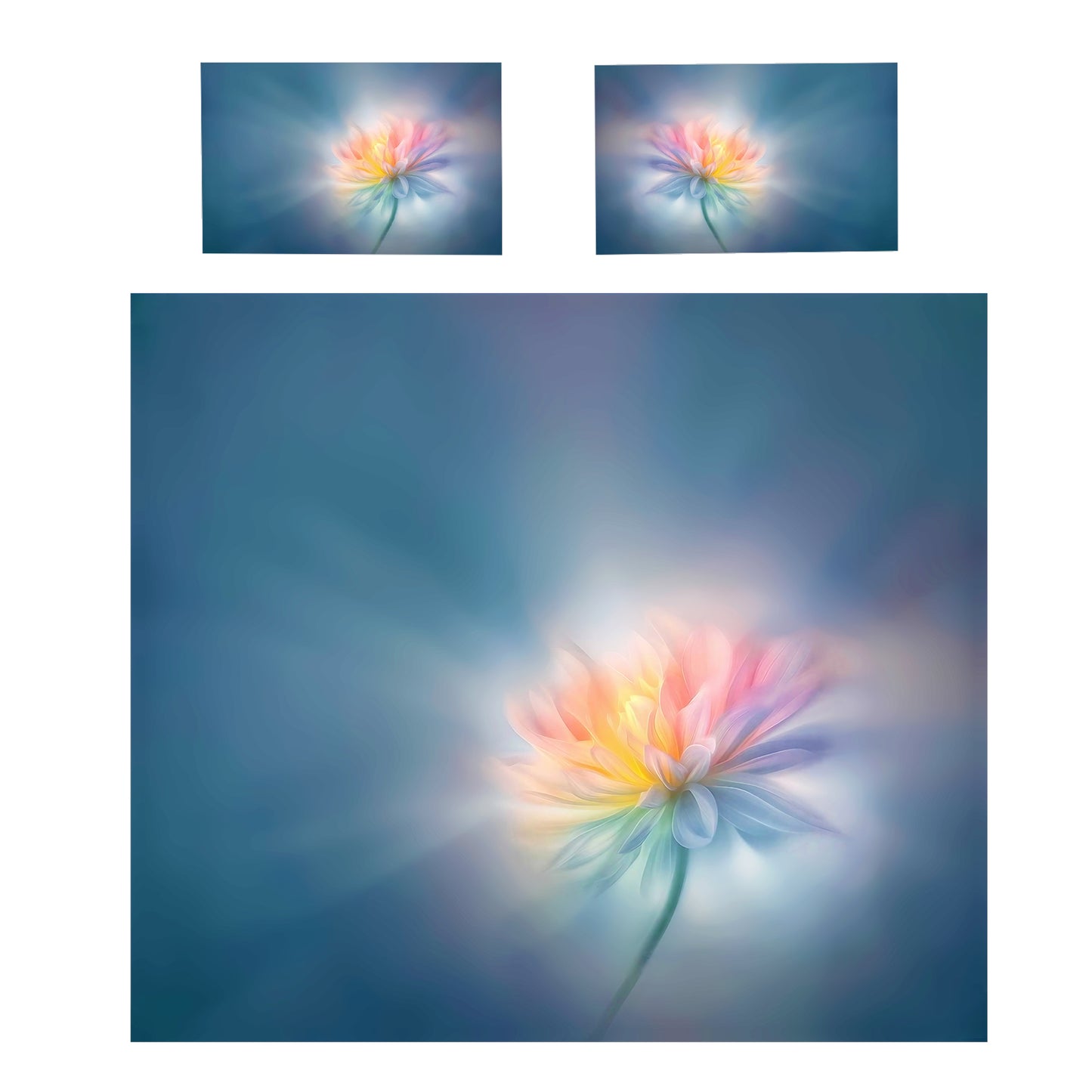 Beaming Flower Duvet Cover Set