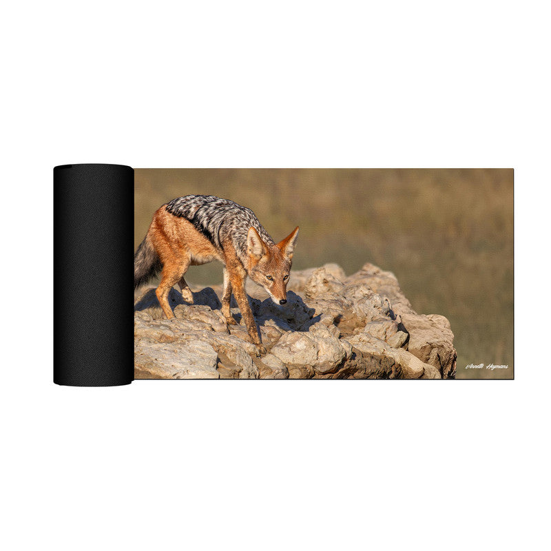 Black Back Jackal Desk Pad by Annette Heymans