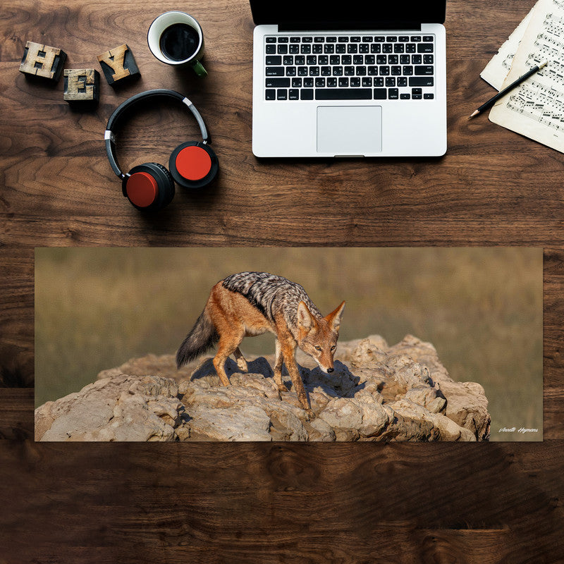 Black Back Jackal Desk Pad by Annette Heymans