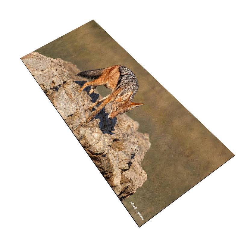 Black Back Jackal Desk Pad by Annette Heymans