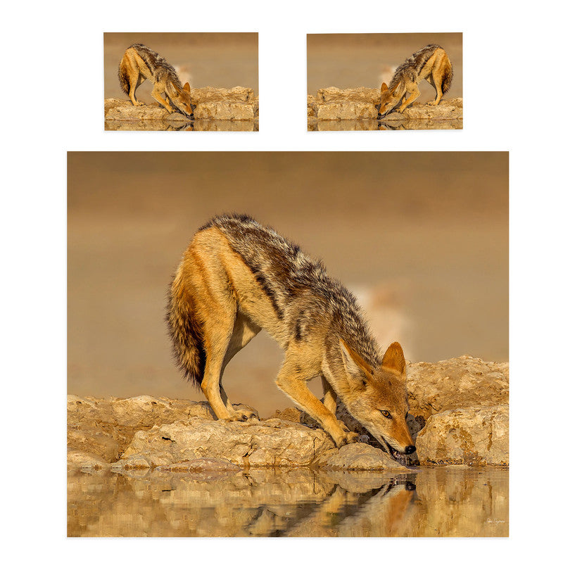Black Backed Jackal By Fanie Heymans Duvet Cover Set
