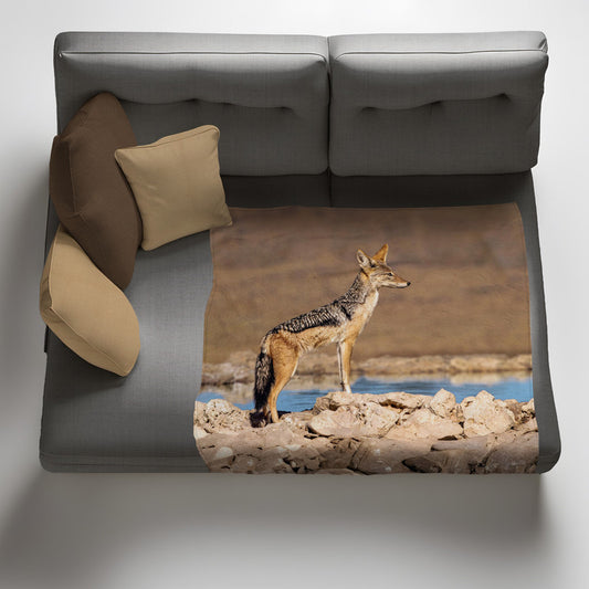 Black Backed Jackal Scanning Area Light Weight Fleece Blanket by Fanie Heymans