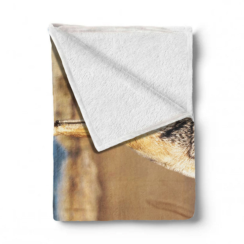 Black Backed Jackal Scanning Area Light Weight Fleece Blanket by Fanie Heymans