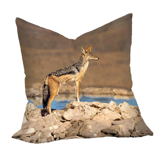 Black Backed Jackal Scanning Area Luxury Scatter by Fanie Heymans