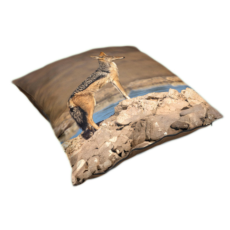 Black Backed Jackal Scanning Area Luxury Scatter by Fanie Heymans