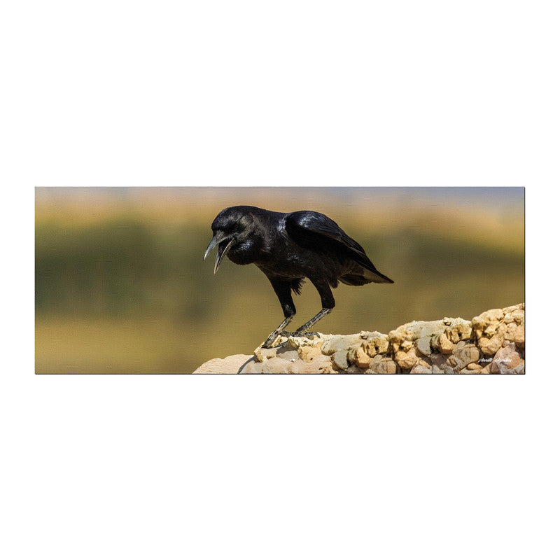 Black Crow Desk Pad by Annette Heymans