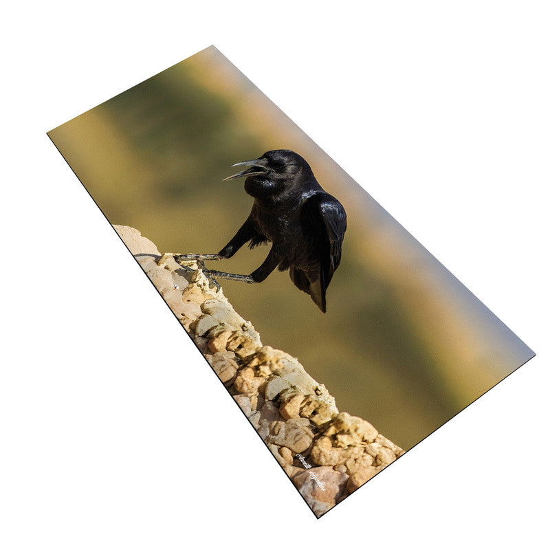 Black Crow Desk Pad by Annette Heymans