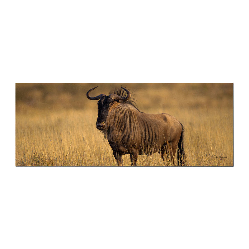 Blue Wildebeest Golden Hour Large Desk Pad By Fanie Heymans
