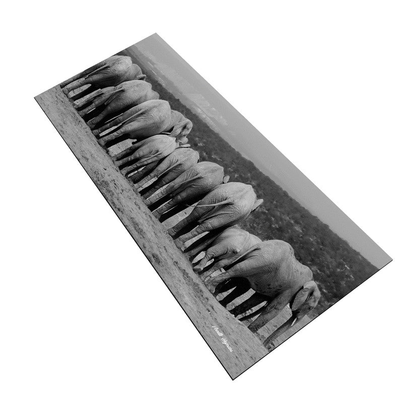 Bottoms up Black and White Large Desk Pad By Annette Heymans