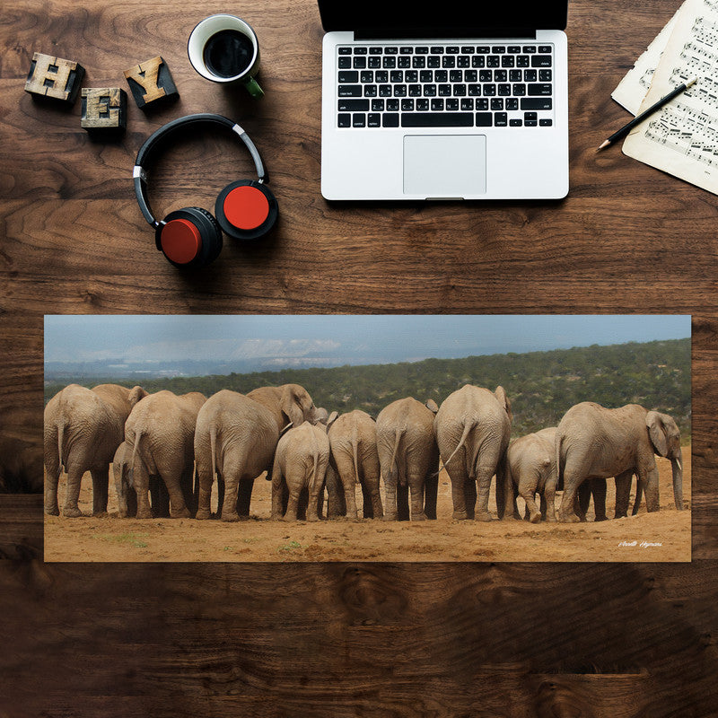 Bottoms Up Desk Pad by Annette Heymans
