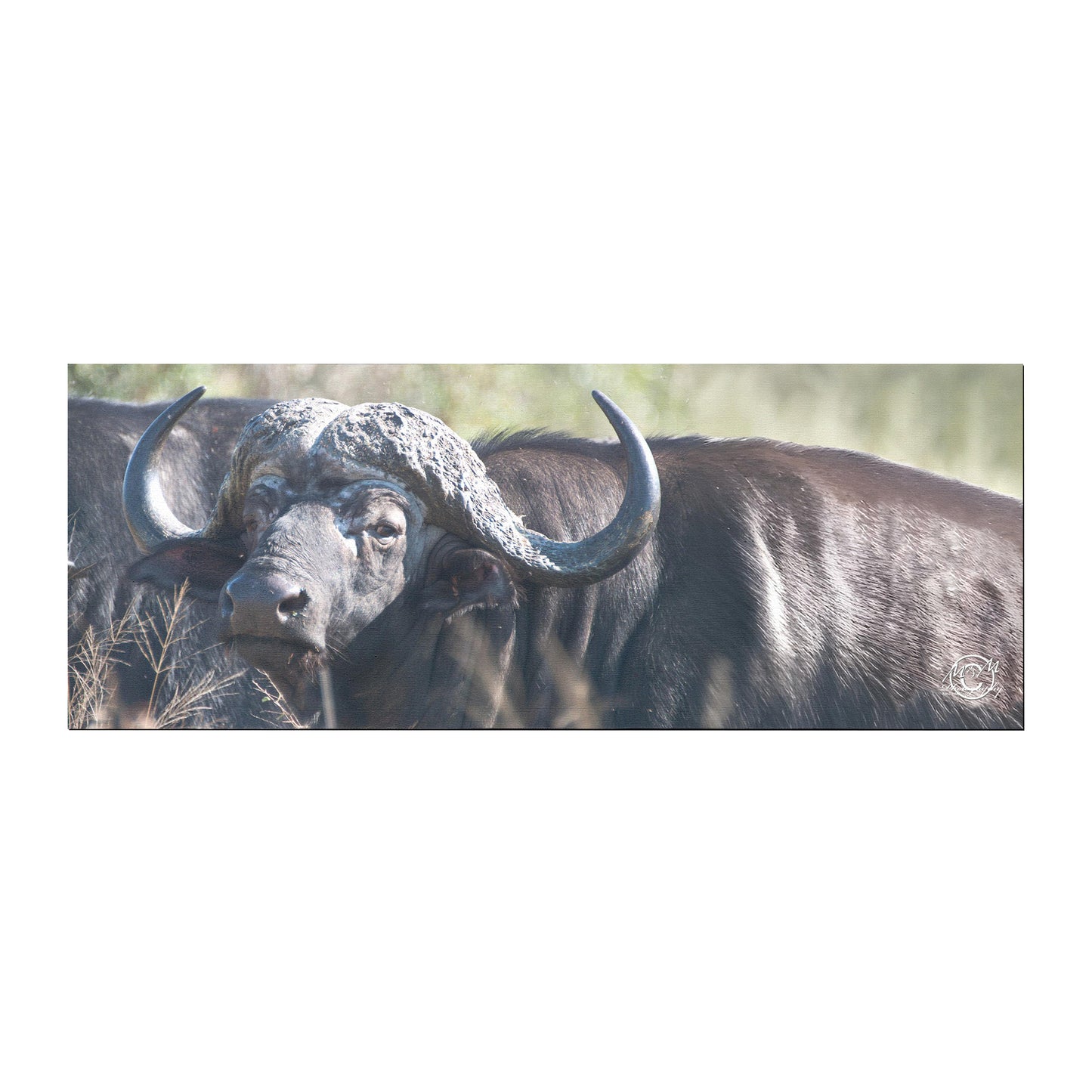 Buffalo Stare Desk Pad by Ferdie Muller