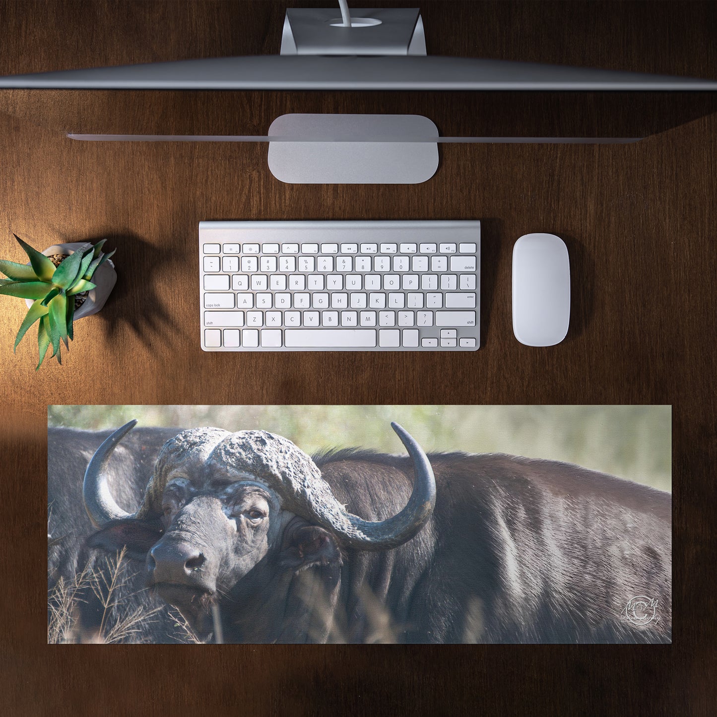 Buffalo Stare Desk Pad by Ferdie Muller
