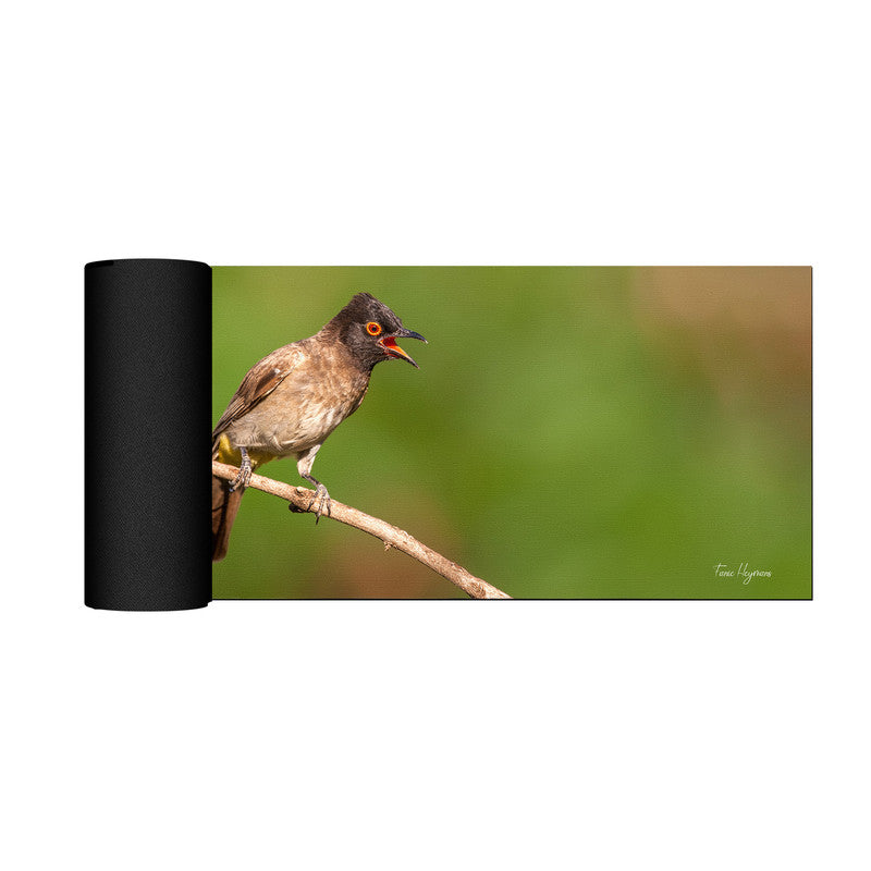 Bulbul Calling Desk Pad by Fanie Heymans