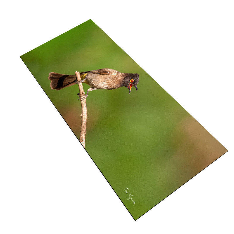 Bulbul Calling Desk Pad by Fanie Heymans