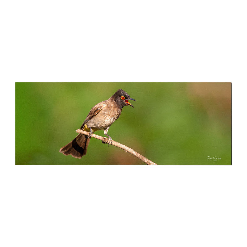 Bulbul Calling Desk Pad by Fanie Heymans