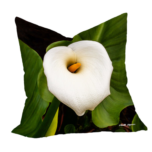 Calla Lilly Luxury Scatter by Annette Heymans