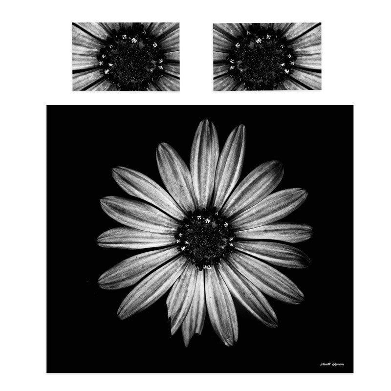 Cape Rain Daisy Black White Duvet Cover Set by Annette Heymans