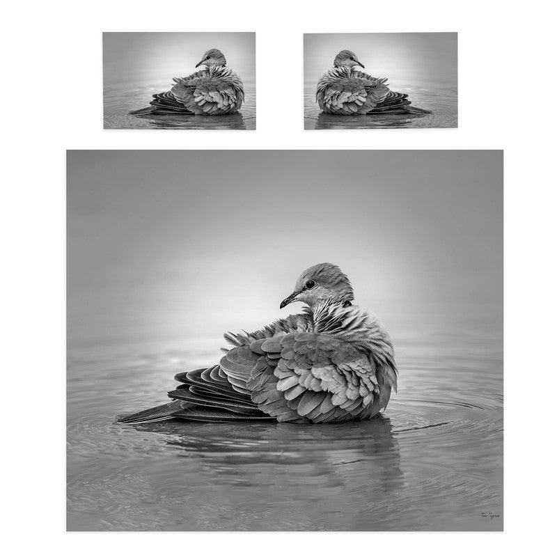 Cape Turtle Dove By Fanie Heymans Duvet Cover Set