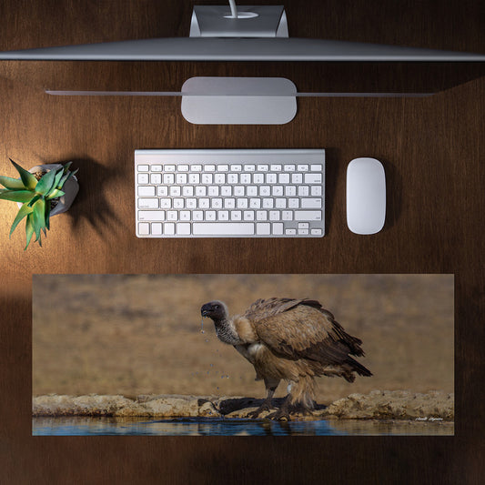 Cape Vulture Drinking Large Desk Pad By Annette Heymans