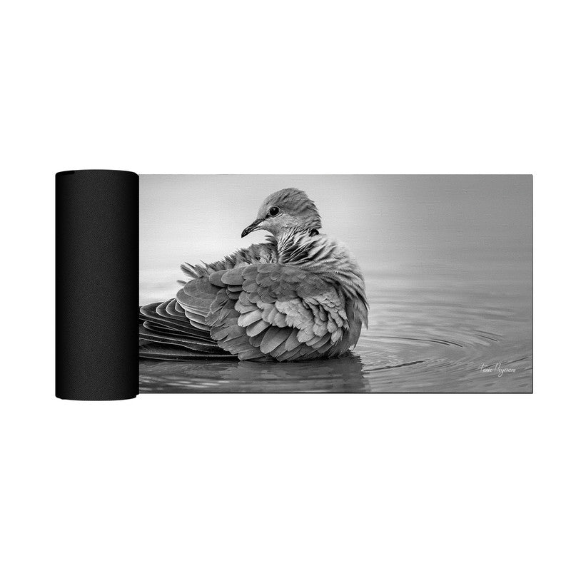 Cape turtle dove tortelduif streptopelia capicola Large Desk Pad By Fanie Heymans