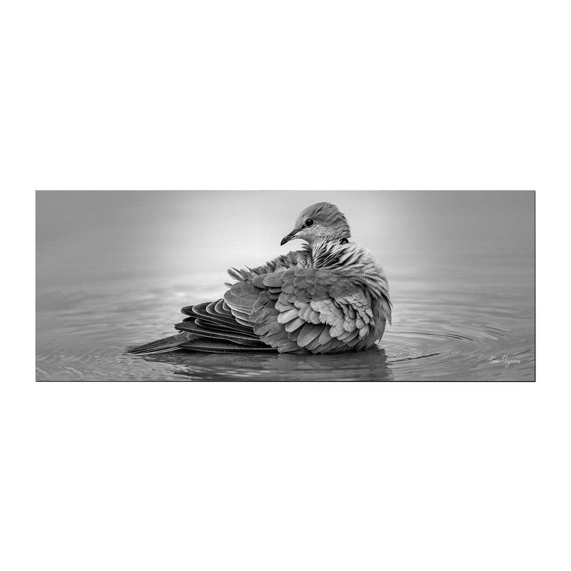 Cape turtle dove tortelduif streptopelia capicola Large Desk Pad By Fanie Heymans