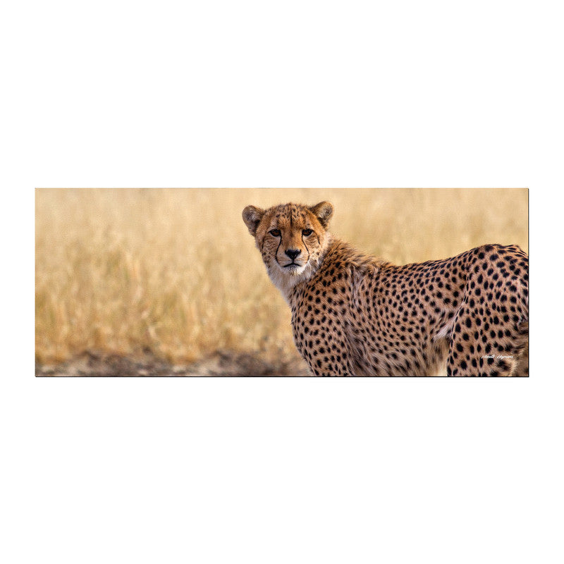 Cheetah Mom Large Desk Pad By Annette Heymans