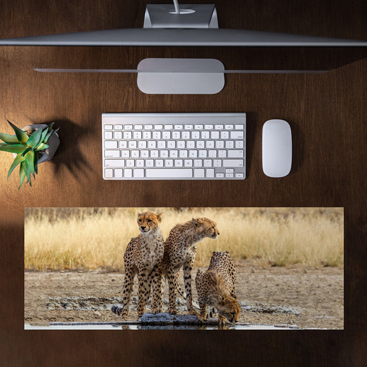 Cheetah Triplets Large Desk Pad By Annette Heymans