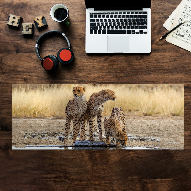 Cheetah Triplets Large Desk Pad By Annette Heymans