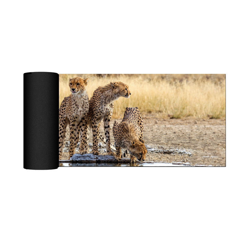 Cheetah Triplets Large Desk Pad By Annette Heymans