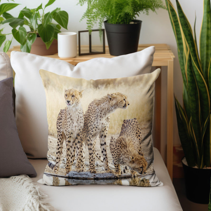 Cheetah Triplets Luxury Scatter By Annette Heymans