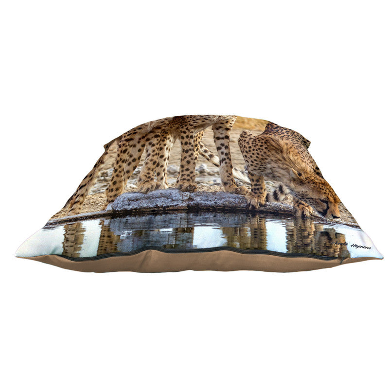 Cheetah Triplets Luxury Scatter By Annette Heymans