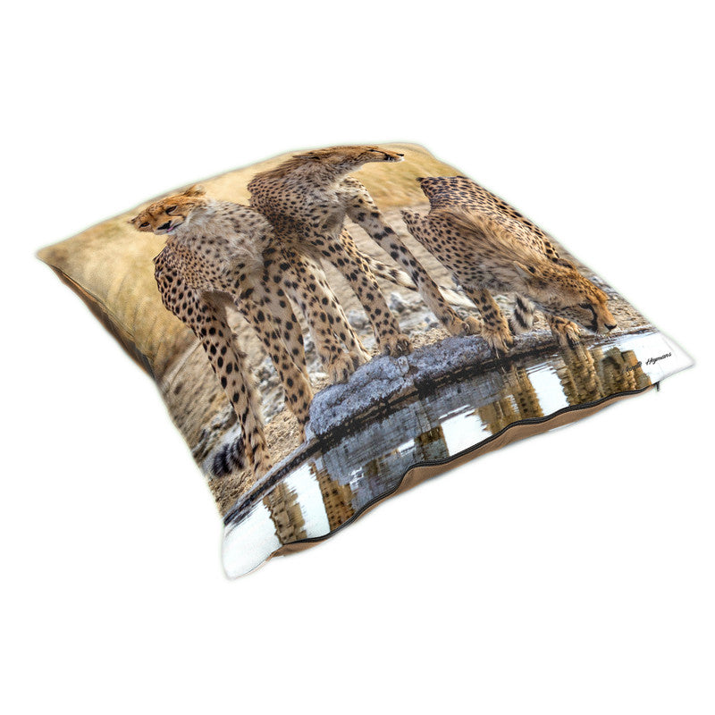 Cheetah Triplets Luxury Scatter By Annette Heymans