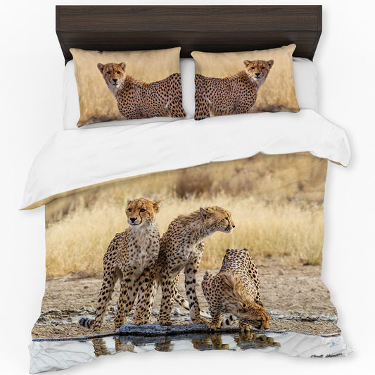 Cheetahs By Annette Heymans Duvet Cover Set