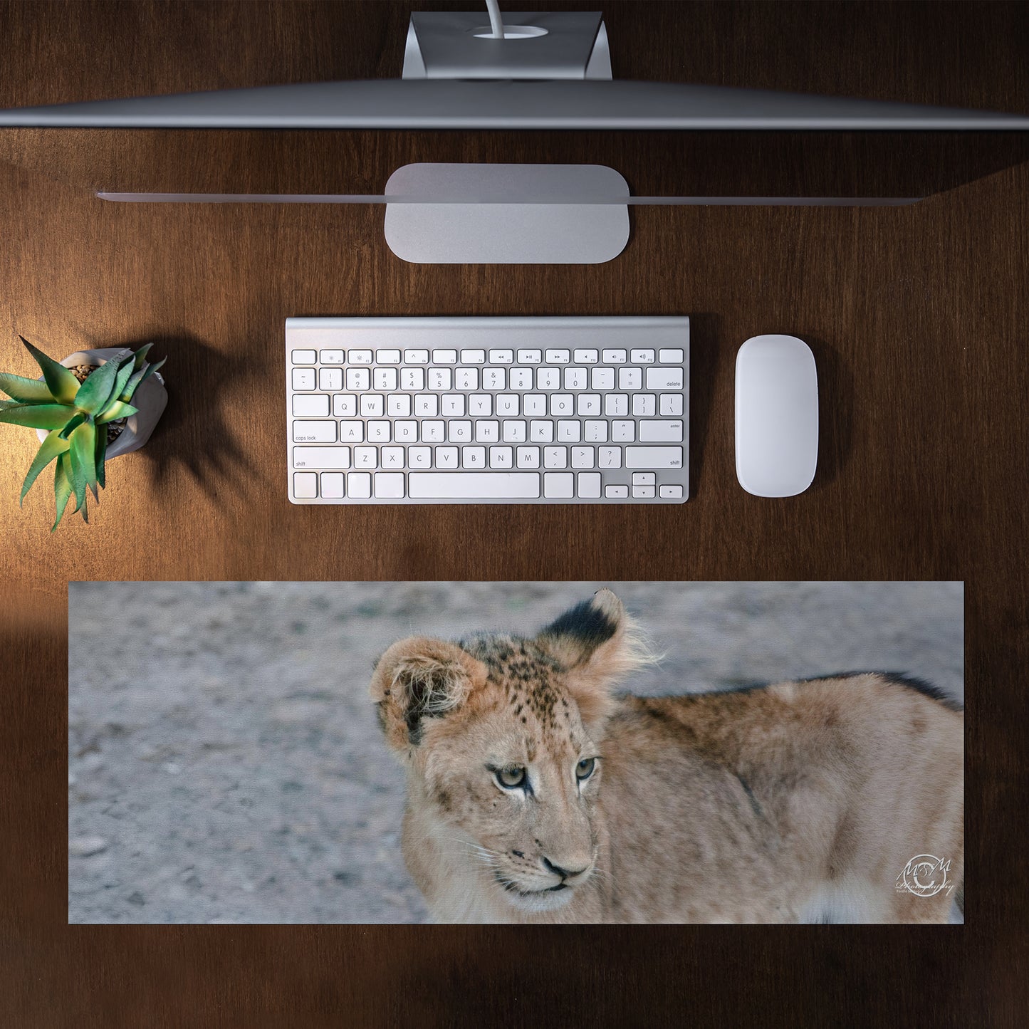 Curious Cub Desk Pad by Ferdie Muller