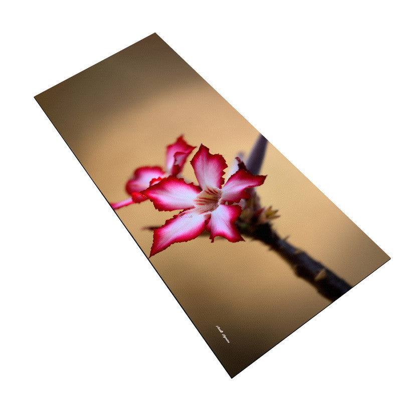 Desert Rose Large Desk Pad by Annette Heymans
