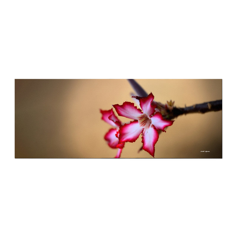 Desert Rose Large Desk Pad by Annette Heymans