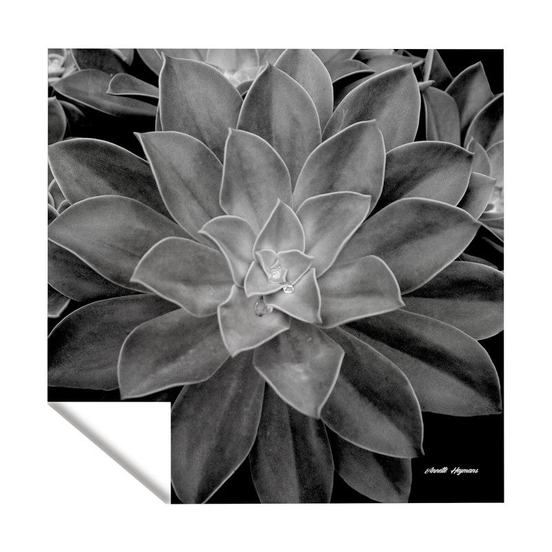 Desert Rose Square Tablecloth by Annette Heymans