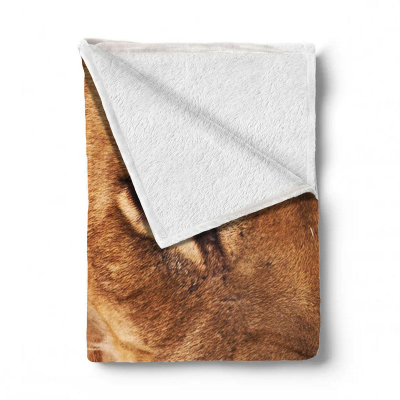 Drinking Male Lion Leeu Panthera Kgalagadiv Light Weigt Fleece Blanket By Fanie Heymans