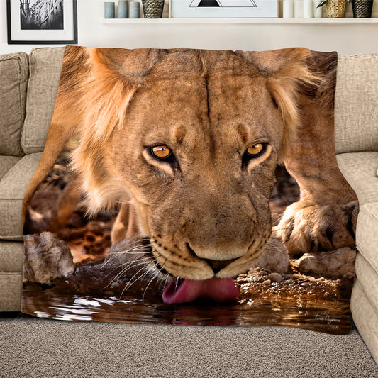 Drinking Male Lion Kgalagadi Light Weight Fleece Blanket By Fanie Heymans