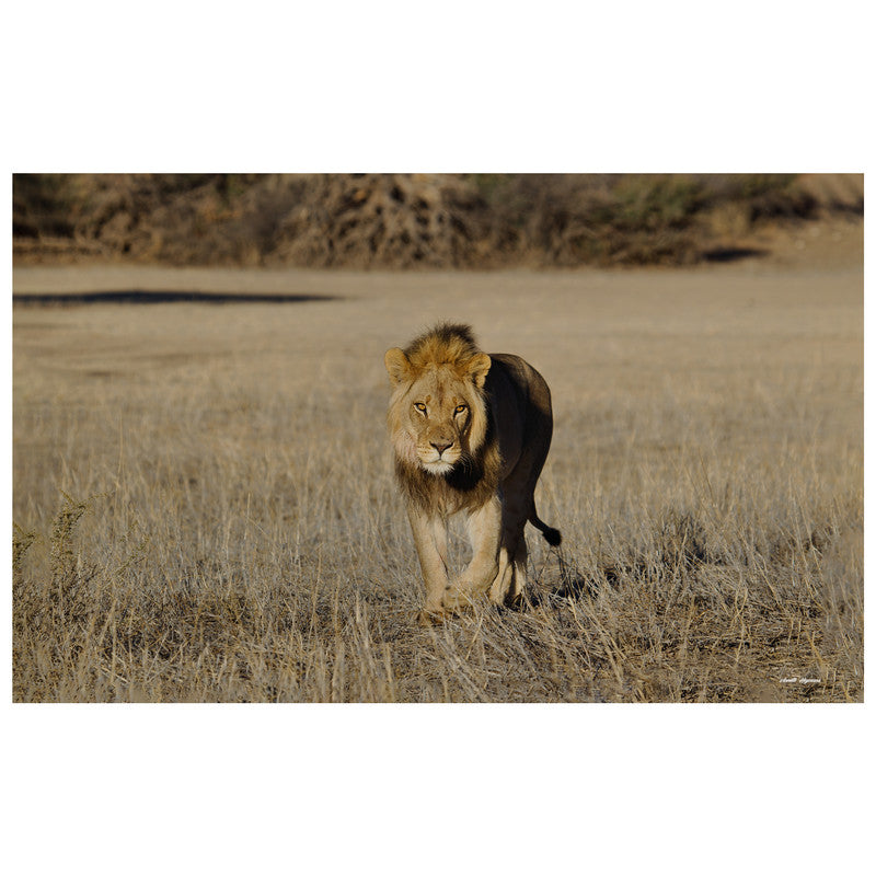 Early morning Stroll By Annette Heymans Rectangle Tablecloth