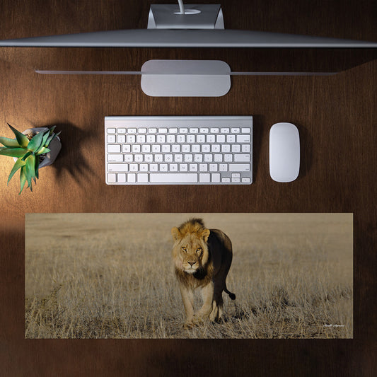 Early morning Stroll Large Desk Pad By Annette Heymans