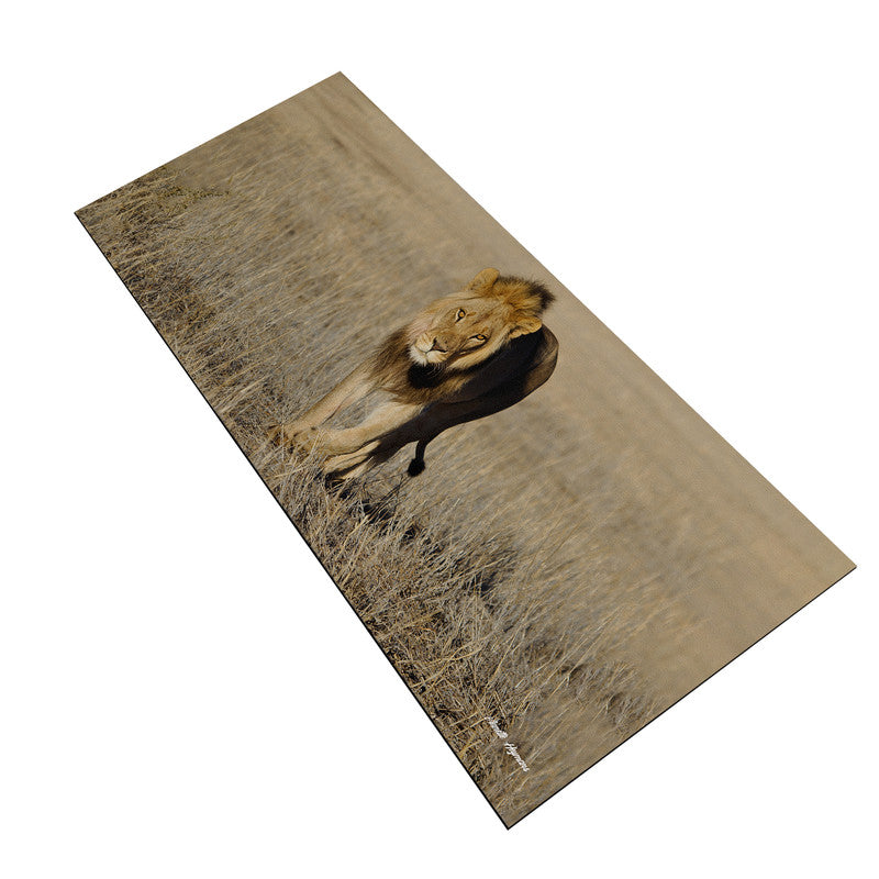 Early morning Stroll Large Desk Pad By Annette Heymans