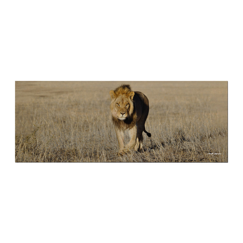 Early morning Stroll Large Desk Pad By Annette Heymans