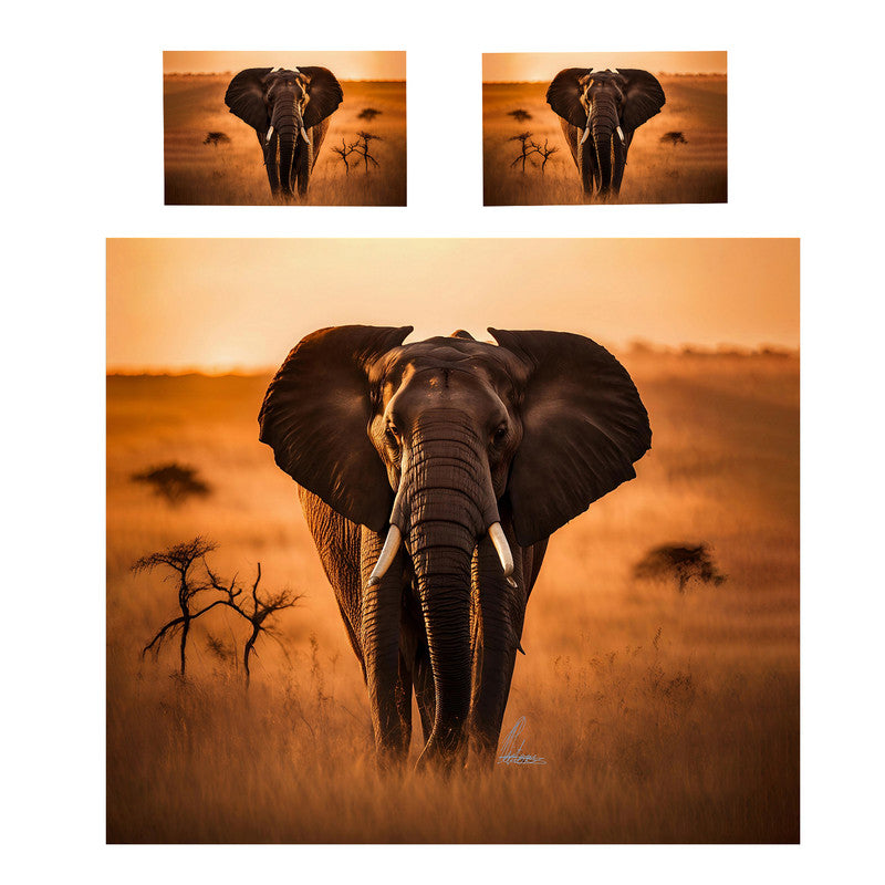 Echoes of the Savannah Duvet Cover Set by Nathan Pieterse