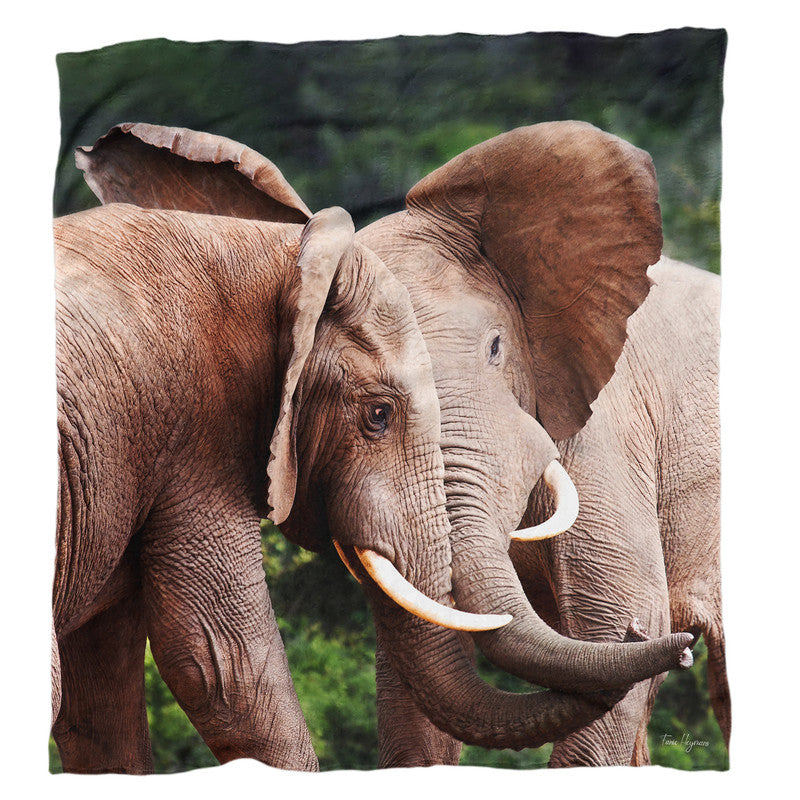 Elephant Bull Fight Light Weight Fleece Blanket By Fanie Heymans